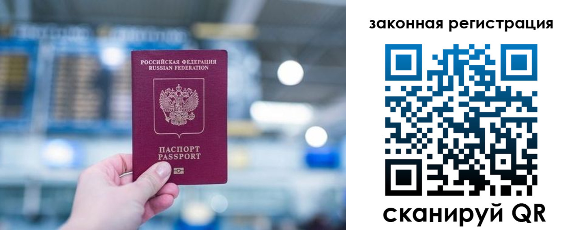прописка поиск в Кохме